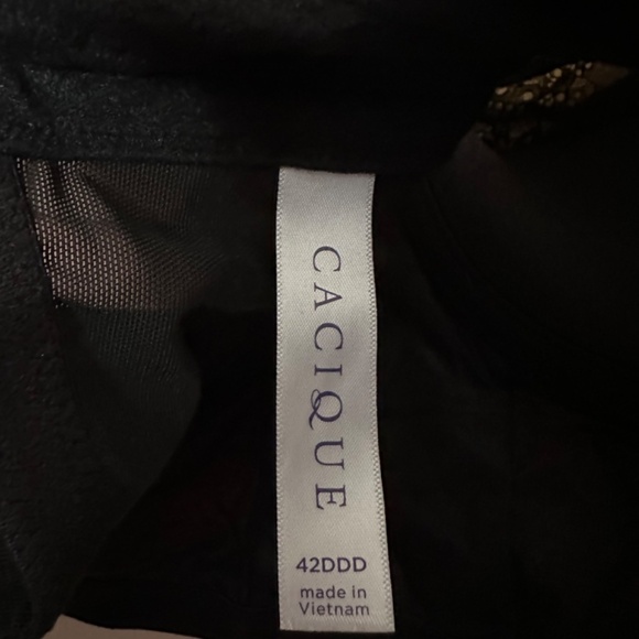 CACIQUE/LANE BRYANT Plaid Lace Lightly Lined French Balconette BRA 42DDD - Picture 8 of 8